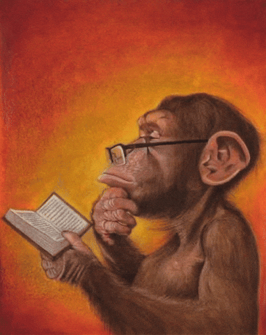 Animated illustration of a monkey wearing glasses, thoughtfully reading a book