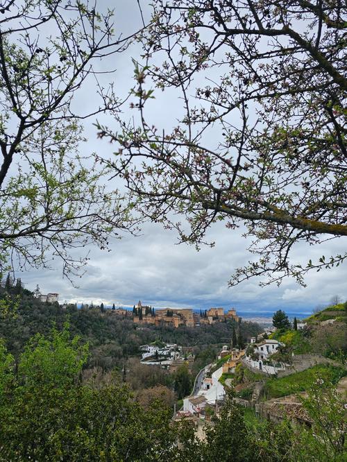 The Alhambra fortress in Granada framed by blossoming almond tree branches