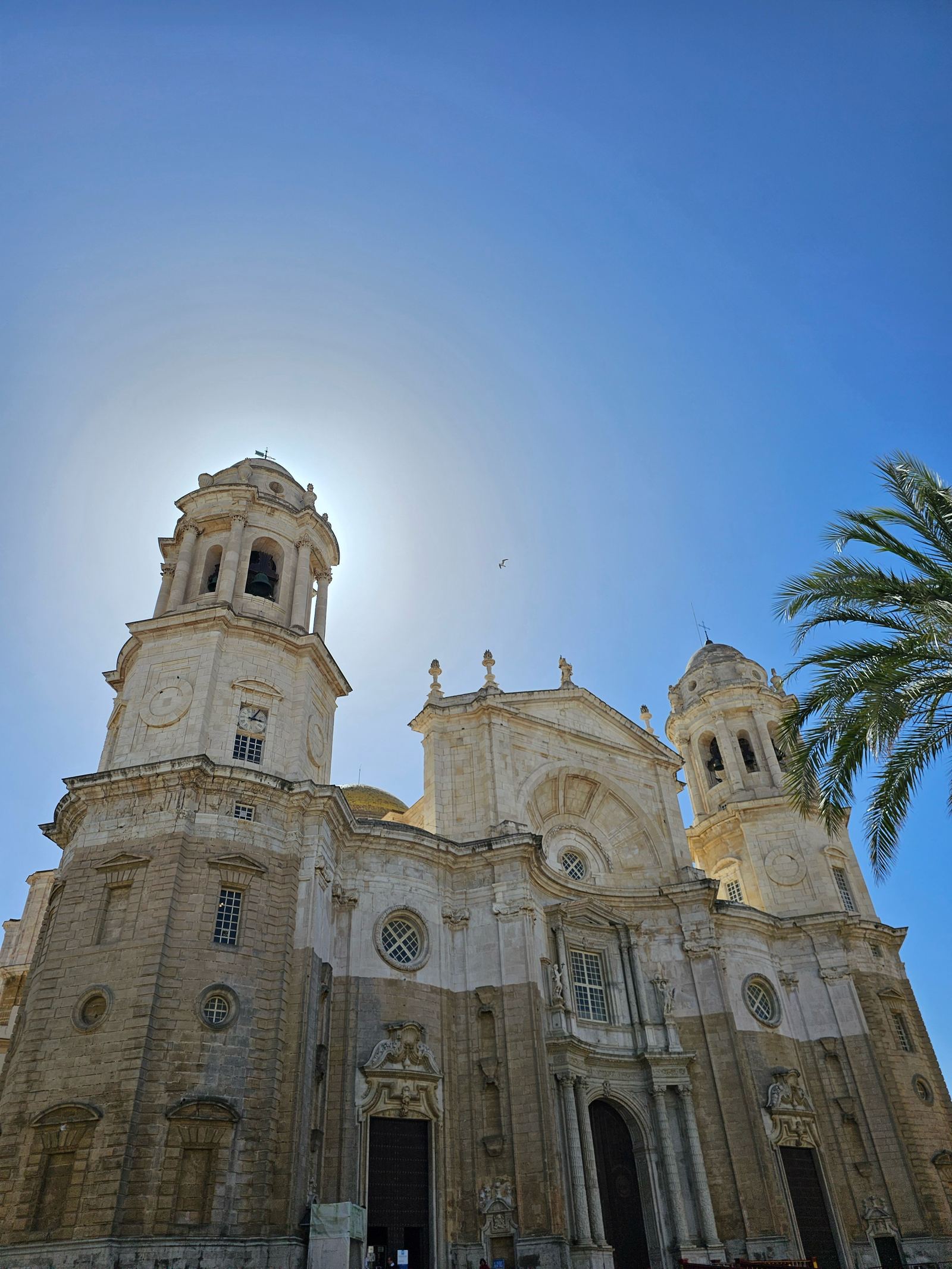 Cádiz Cathedral's bell towers and dome against a blue sky, framed by a palm tree